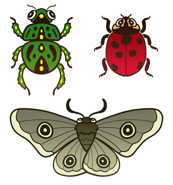 Bugs